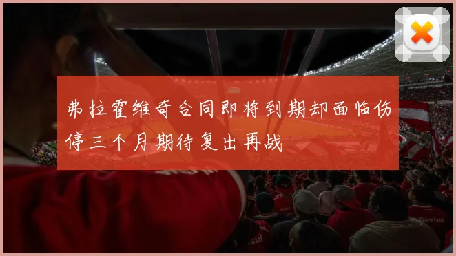弗拉霍维奇合同即将到期却面临伤停三个月期待复出再战